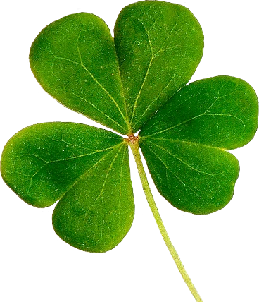 a shamrock